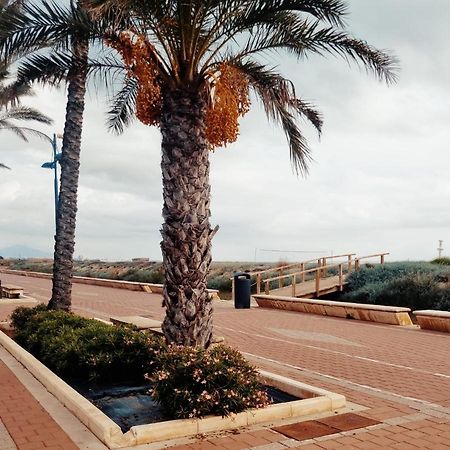 The Beach Across The Street Peñíscola 外观 照片